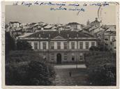 Retrato da Praça da Restauração antes do corte das árvores antigas 