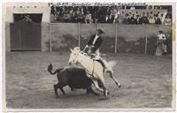 Tourada de Praça - Toureio a Cavalo, bandarilhar o touro, por Clemente  Espadanal 