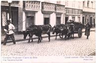 Cartão Postal Costume Regional - Carro de Bois 