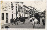 Espera de Gado em São Pedro 