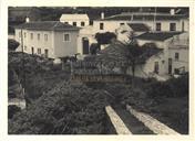 Quinta dos "Noronhas" no Pico da Urze?