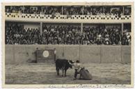 Tourada de Praça - Toureiro Diamantino Viseu (Matador de Touros Português)