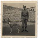 Militar