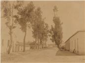 Rua de D. Luís 1º na Chibia