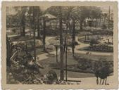 Jardim Duque de Bragança