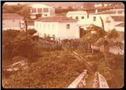 Quinta dos "Noronhas" no Pico da Urze?