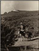 Farol da Contendas e Homem com burros