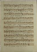 Tenor