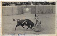 Tourada de Praça - Novilheiro Manuel Oliveira 